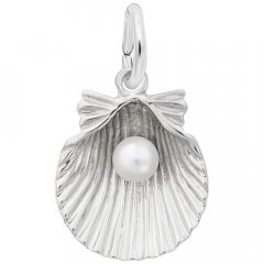 Sea Shell Charms in Silver and Gold