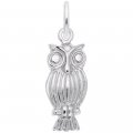 SCREECH OWL - Rembrandt Charms