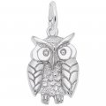 WISE OWL - Rembrandt Charms