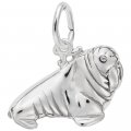 WALRUS - Rembrandt Charms