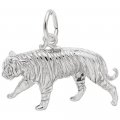 TIGER - Rembrandt Charms