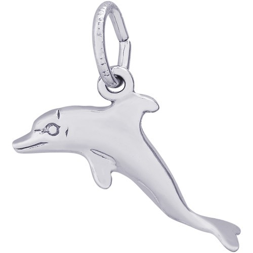 PLAYFUL DOLPHIN - Rembrandt Charms