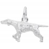 POINTER DOG - Rembrandt Charms
