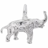 ASIAN ELEPHANT - Rembrandt Charms