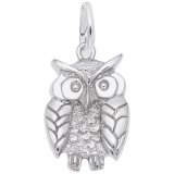 WISE OWL - Rembrandt Charms