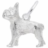 FRENCH BULLDOG - Rembrandt Charms