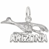 ARIZONA ROAD RUNNER - Rembrandt Charms