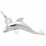 DOLPHIN ACCENT - Rembrandt Charms