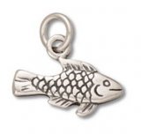 SIMPLE FISH Sterling Silver Charm