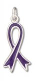 DOMESTIC VIOLENCE AWARENESS RIBBON Enameled Sterling Silver Charm