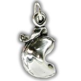 FORTUNE COOKIE Sterling Silver Charm