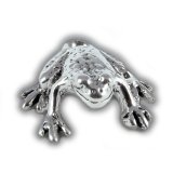 FROG Sterling Silver Charm
