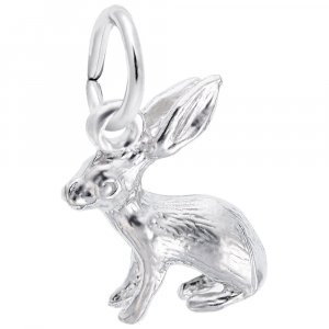 BUNNY ACCENT - Rembrandt Charms