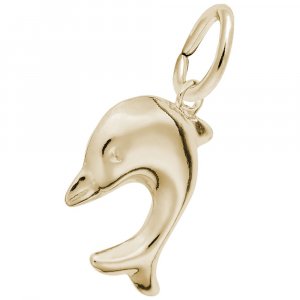 DIVING DOLPHIN - Rembrandt Charms