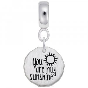 YOU ARE MY SUNSHINE CHARMDROPS SET - Rembrandt Charms