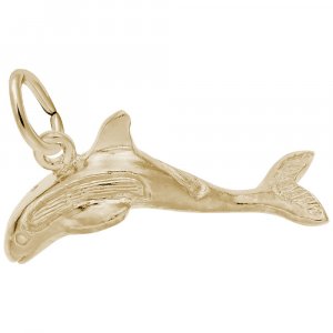 WHALE - Rembrandt Charms