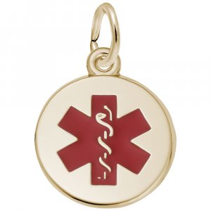SMALL MEDICAL SYMBOL - Rembrandt Charms