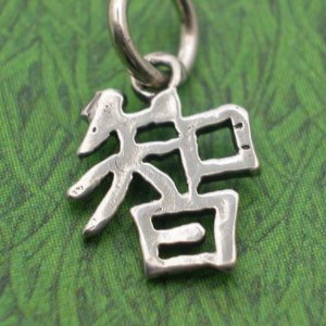 WISDOM Chinese Symbol Sterling Silver Charm