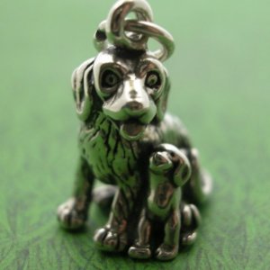 DOG with PUPPY Sterling Silver Charm