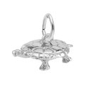 Turtle Sterling Silver Charm