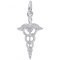 Caduceus Sterling Silver Charm